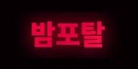 밤포탈