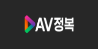 AV정복